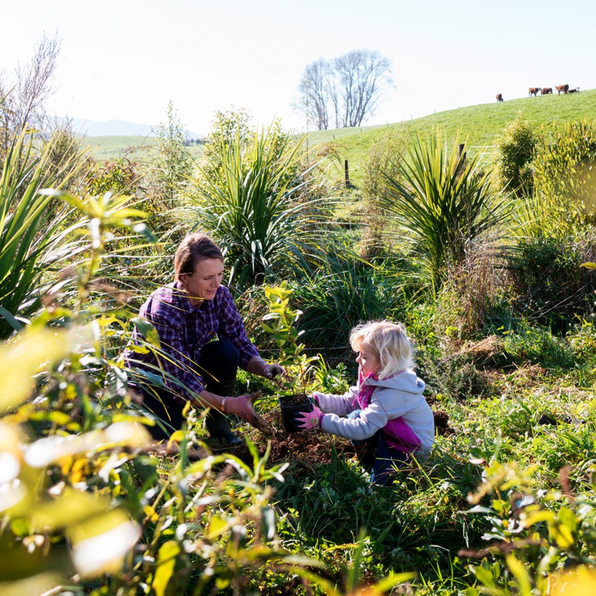 Family Planting