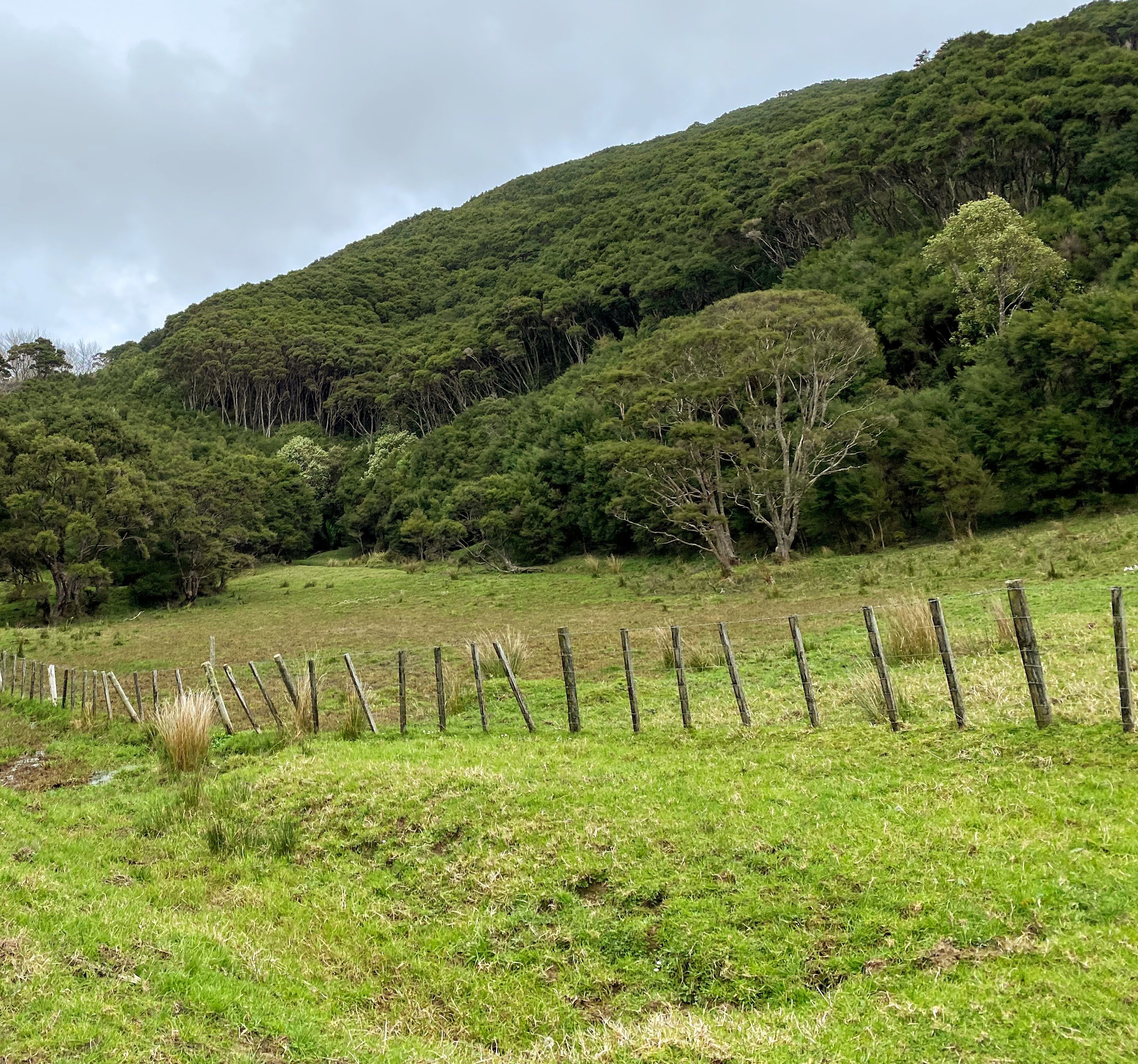 Whenua Māori