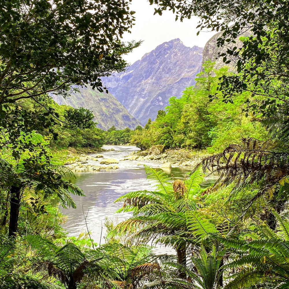 Indigenous Land Management