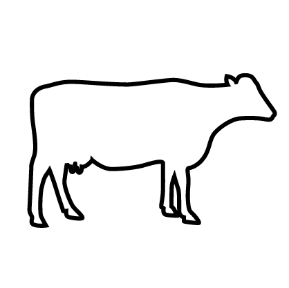 NZCIM Icons - V01-02